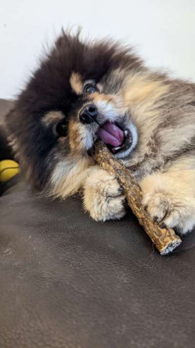 %{de_profession_title}-REHA-Shop-Bild