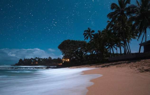 Wie heißt dein Hund?-Beitrag-Bild