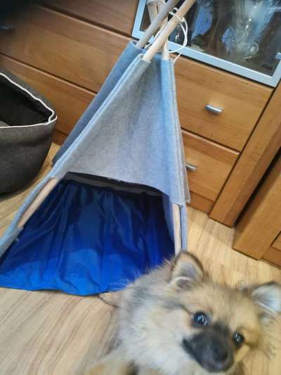 Kühlmatte-Beitrag-Bild