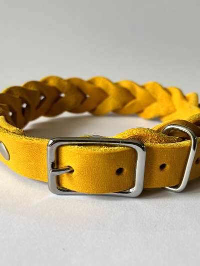 %{de_profession_title}-Fettlederhalsband -Komplettflechtung--Bild