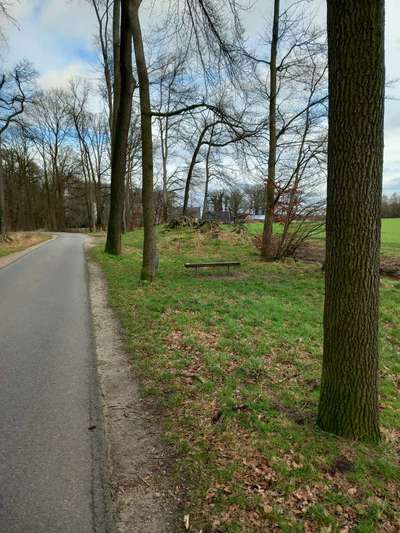 Hundeauslaufgebiet-Karnickelberg-Bild