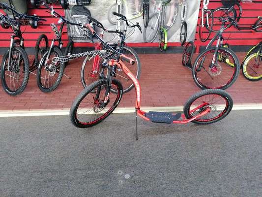 Hund das ziehen bei bringen/ Zughundesport-Beitrag-Bild