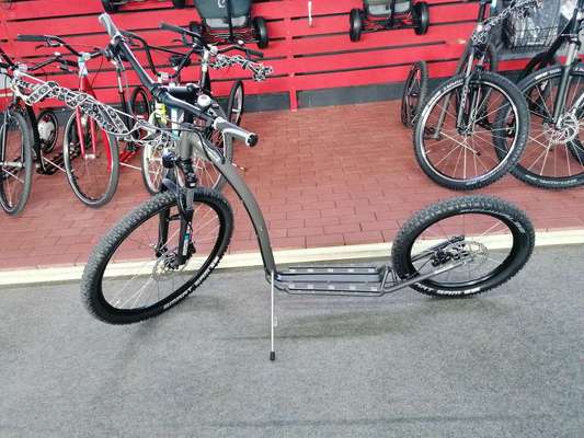 Hund das ziehen bei bringen/ Zughundesport-Beitrag-Bild