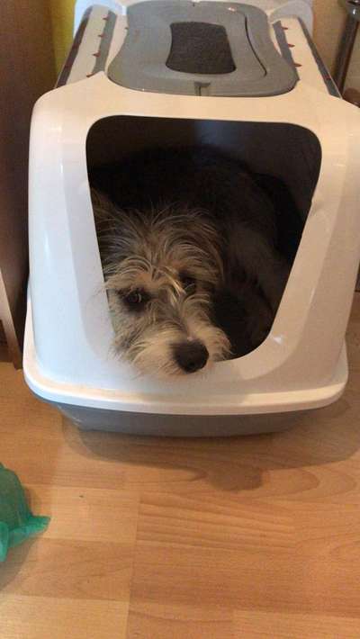 Challenge 21 - wo bin ich : )-Beitrag-Bild