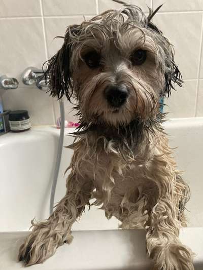 Fotochallenge 128-Beitrag-Bild