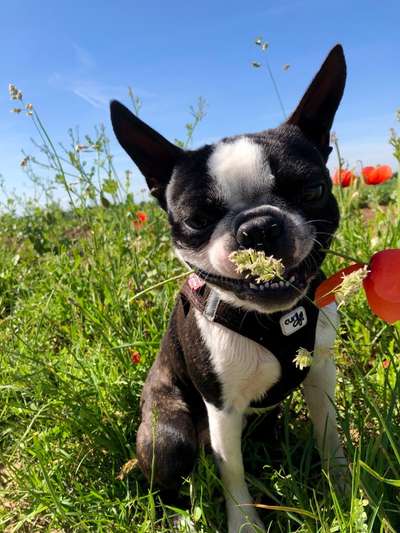 Fotochallenge Nr.122-Beitrag-Bild