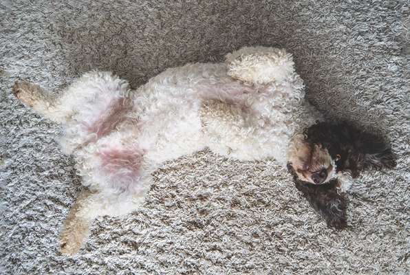 Fotochallenge Nr.65-Beitrag-Bild