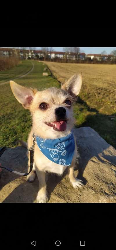 Theos  Fotochallenge Nummer 2-Beitrag-Bild