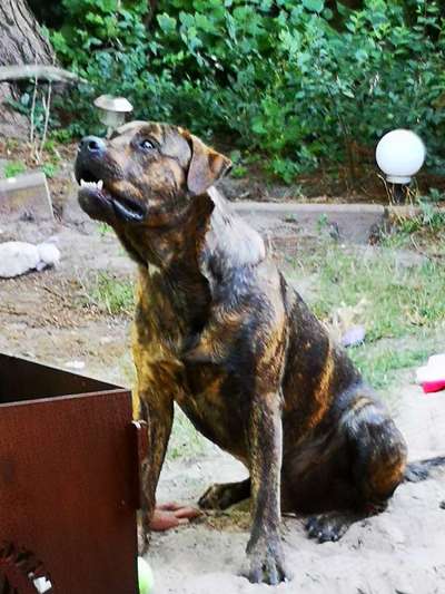 Fotochallange Nr. 6 Die irrsten Blicke-Beitrag-Bild