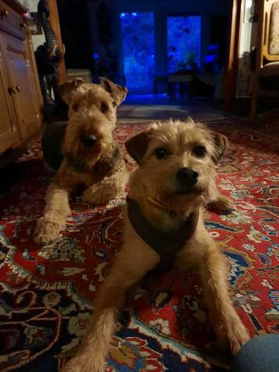 Lieblingsbild :D-Beitrag-Bild