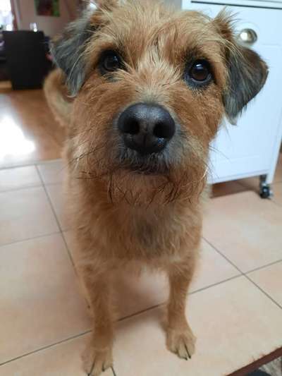 Lieblingsbild :D-Beitrag-Bild