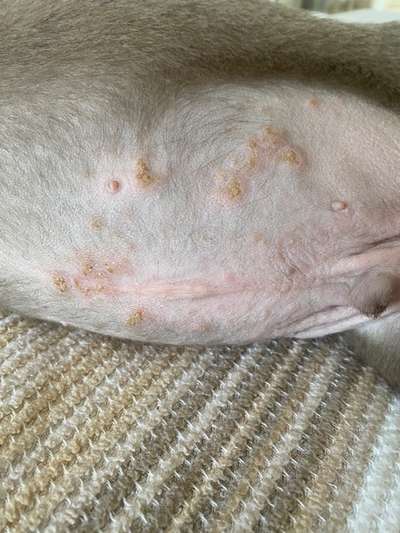 Ausschlag am Bauch-Beitrag-Bild