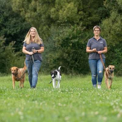 Hundeschulen-Martin Rütter Hundeschule Birkenfeld / Merzig-Bild