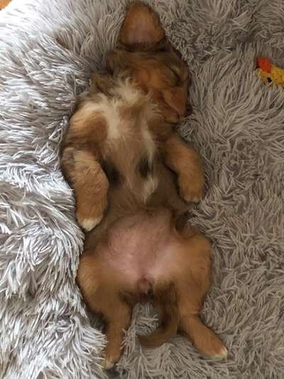 CHALLENGE NR. 34 - Liege-/Schlafpositionen-Beitrag-Bild