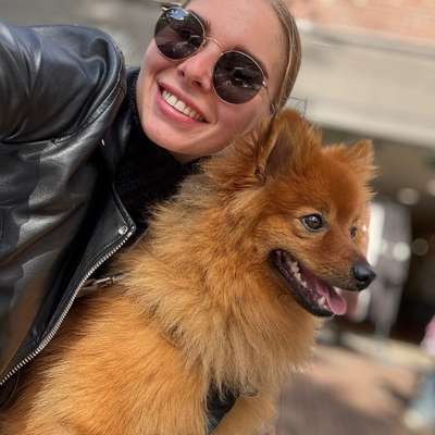 Hundetreffen-Lio sucht Freunde zum Toben/Gassi gehen 🐶