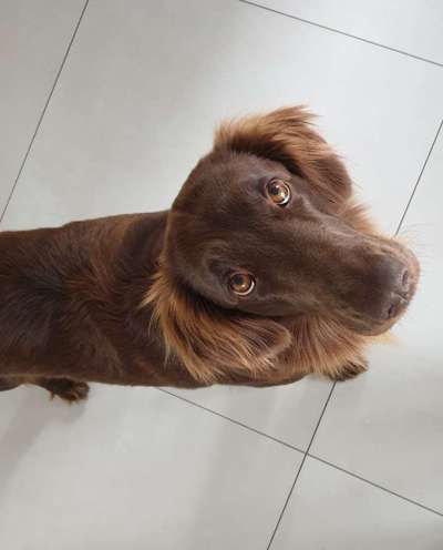 Zeigt mir eure Lieblingsfotos ♡♡-Beitrag-Bild