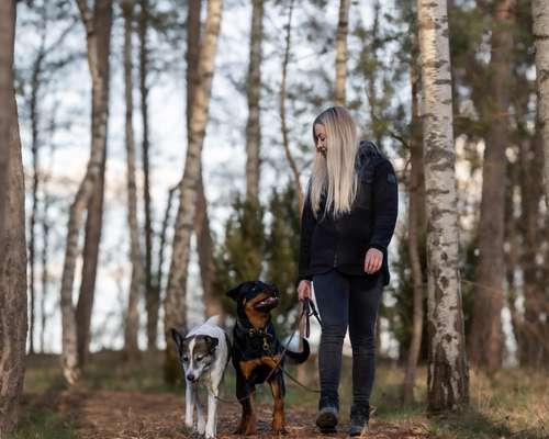 %{de_profession_title}-Einzelstunde-Bild