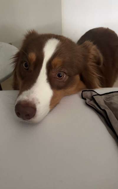 147. Foto Challenge: Bettelblick-Beitrag-Bild