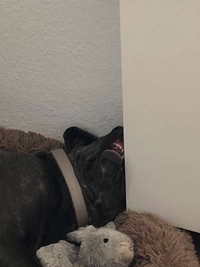 Lustige Grimassen & verrückte Posen-Beitrag-Bild