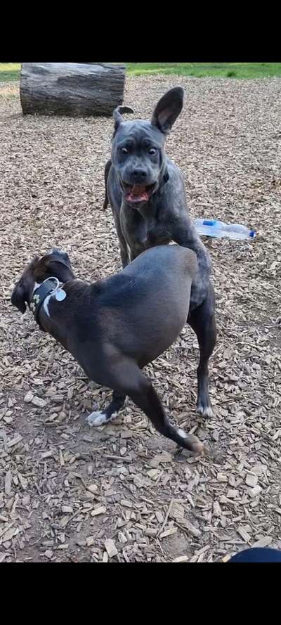 Lustige Grimassen & verrückte Posen-Beitrag-Bild