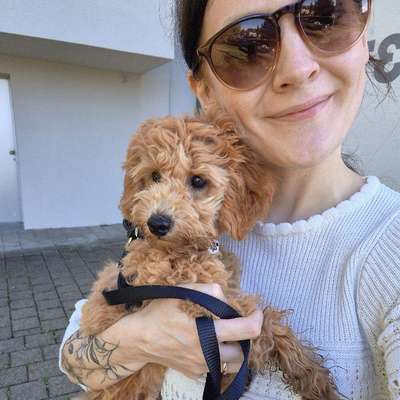 Hundetreffen-Spazieren-Profilbild