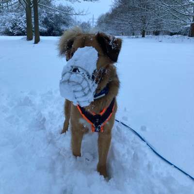 Was hat euch heute genervt?-Beitrag-Bild