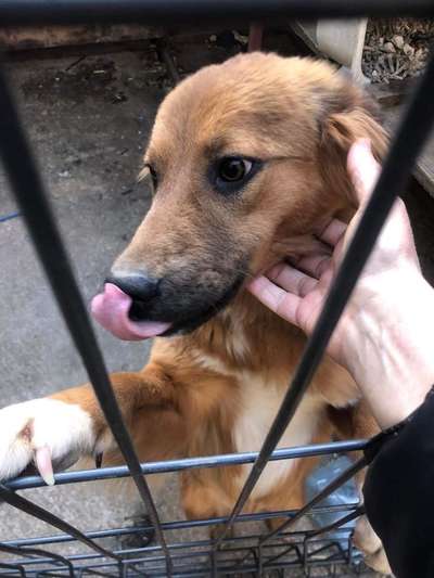 Handyfoto challenge Nr. 13: Waschlappen raus!-Beitrag-Bild