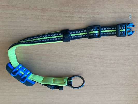 Welches Halsband trägt dein Hund und warum dieses?-Beitrag-Bild