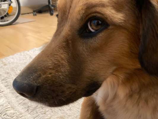 150. Foto Challaenge:  Die Augen, der Spiegel der Seele-Beitrag-Bild