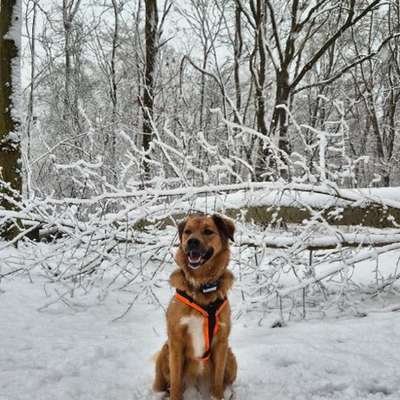 Was hat euch heute gefreut?-Beitrag-Bild