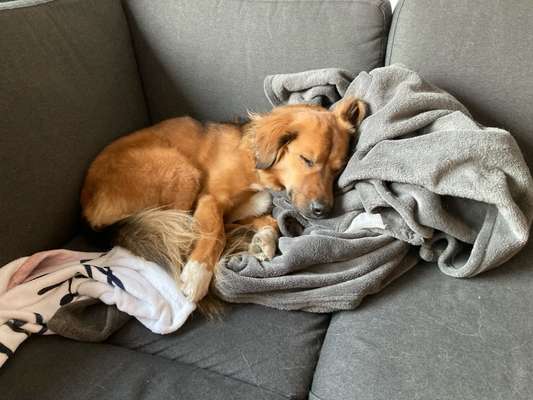 Was hat euch heute gefreut?-Beitrag-Bild