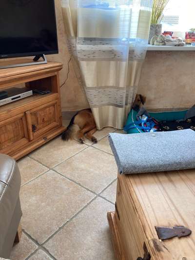 80. Foto  Challenge - Versteckt/ in einer Höhle-Beitrag-Bild