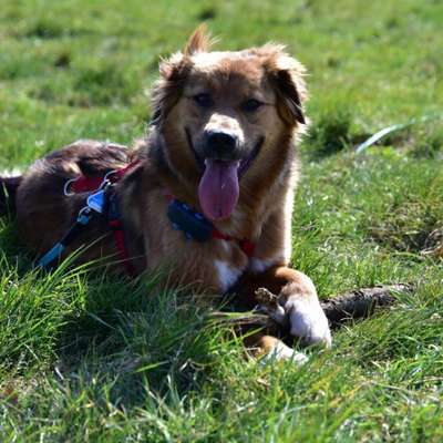 Johanna's Profilbild