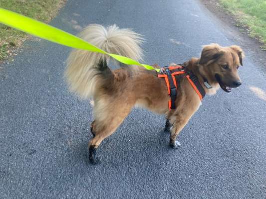 Was hat euch heute genervt?-Beitrag-Bild