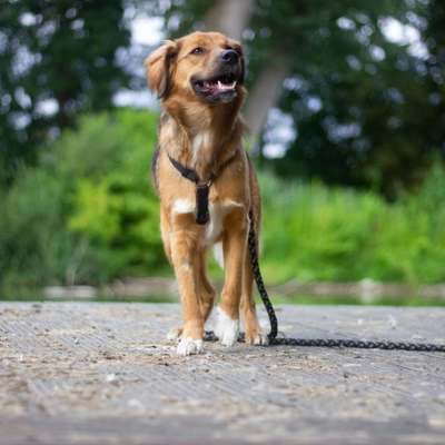 Was hat euch heute gefreut?-Beitrag-Bild