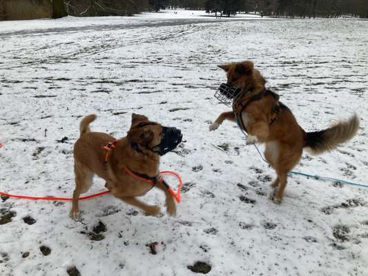 Was hat euch heute gefreut?-Beitrag-Bild