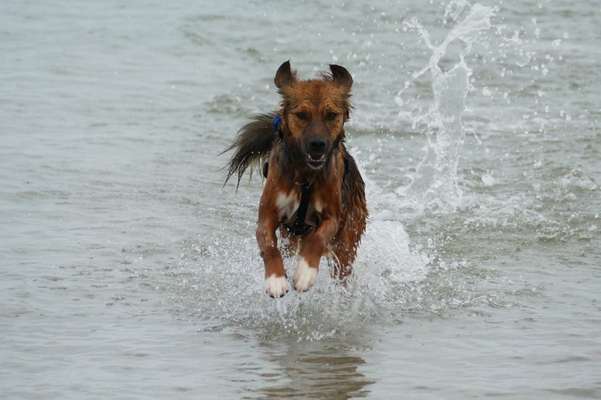 Dogorama Photo Challenge - Spieglein Spieglein . . .-Beitrag-Bild