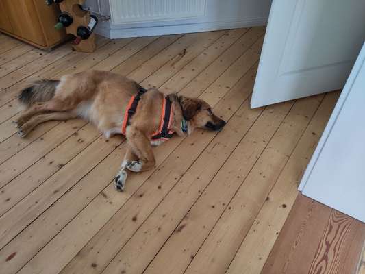 Was hat euch heute gefreut?-Beitrag-Bild