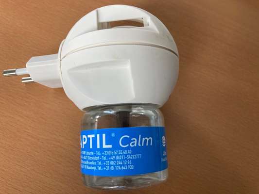 Mittel für ängstliche Hunde-Beitrag-Bild