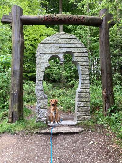 82. Foto Challenge: Skulptur/ Denkmal-Beitrag-Bild