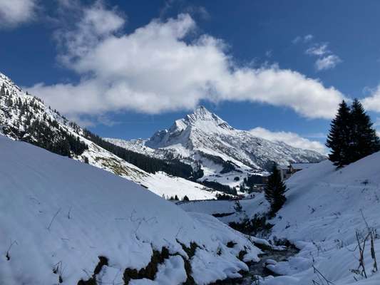 Was hat euch heute gefreut?-Beitrag-Bild