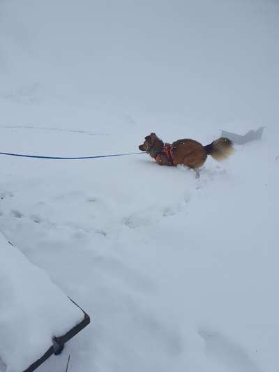 Was hat euch heute gefreut?-Beitrag-Bild