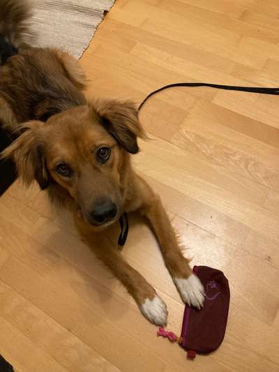 30. Farben Challenge - Pink-Beitrag-Bild