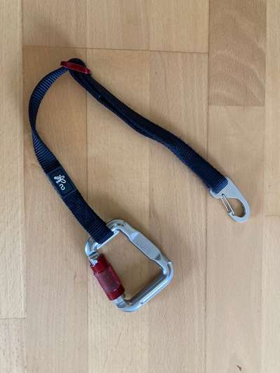 Geschirr zum Autofahren-Beitrag-Bild