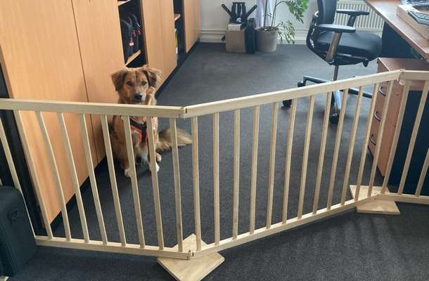 Was hat euch heute gefreut?-Beitrag-Bild