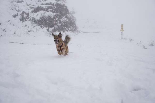 Was hat euch heute gefreut?-Beitrag-Bild