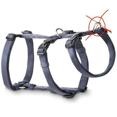 Laufen an der Schleppleine-Beitrag-Bild