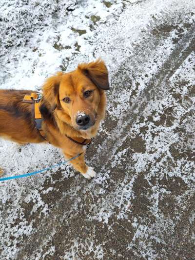 Was hat euch heute gefreut?-Beitrag-Bild