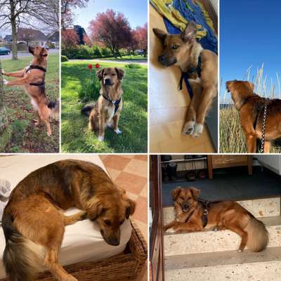 53. Collage Challenge - Verschiedene Blickwinkel-Beitrag-Bild