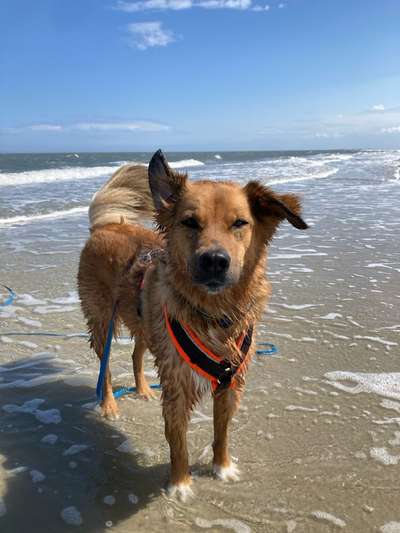 Was hat euch heute gefreut?-Beitrag-Bild